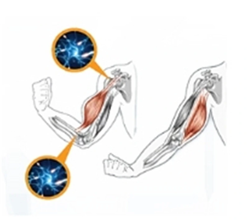 Low Energy 2 In1 Physiotherapy EMS Eswt Radial Extracorporeal Shock Wave Therapy